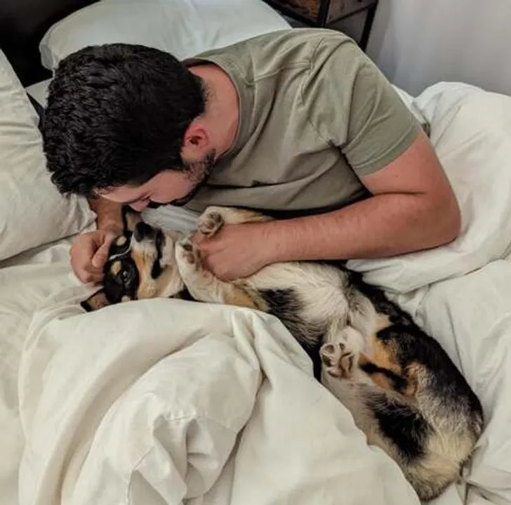 «Это только твоя собака, и я не буду её выгуливать или убирать за ней!»