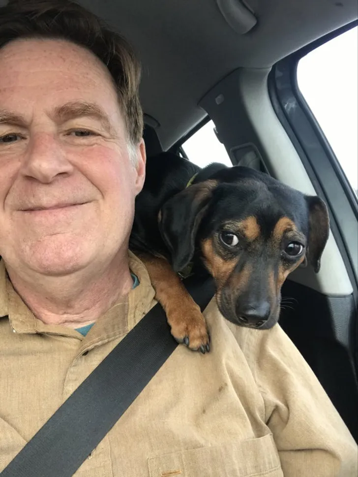 «Мой папа сказал, что домашних животных больше не будет».