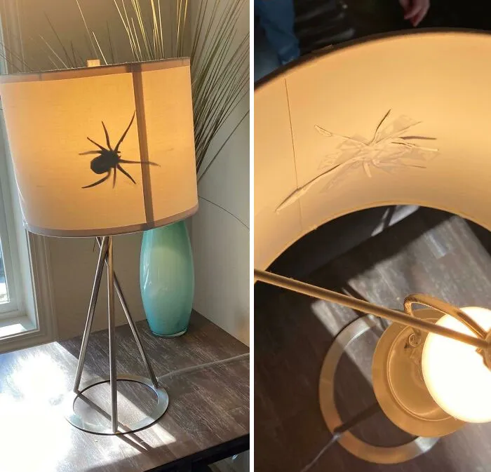  «Мой 8-летний сын чуть не заставил меня сжечь наш дом».