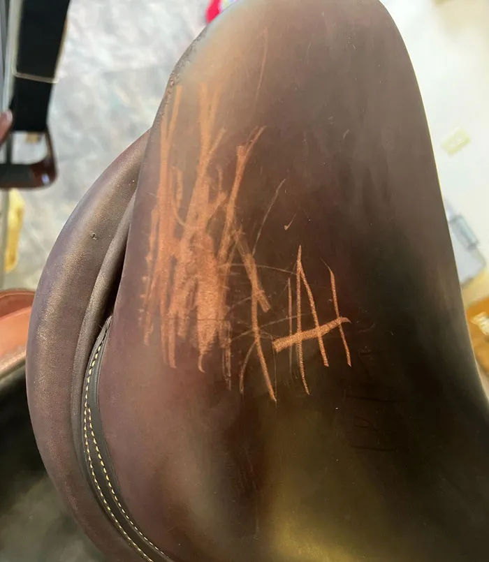 «Вот почему так важно следить за своими детьми, когда они находятся в общественных местах. Это седло за 4,5 тысячи долларов».