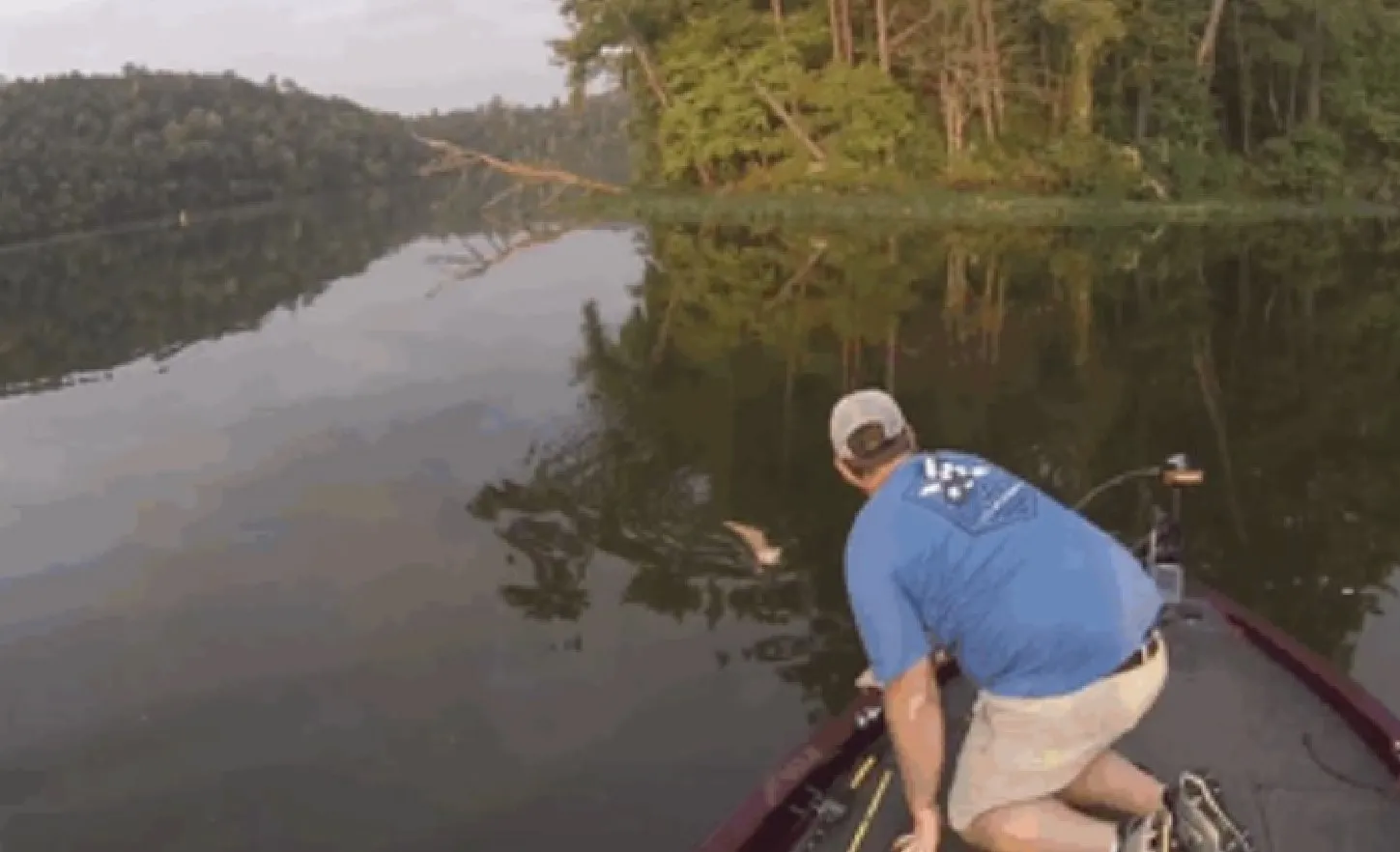 Джейсон подзывает к себе первого котенка.