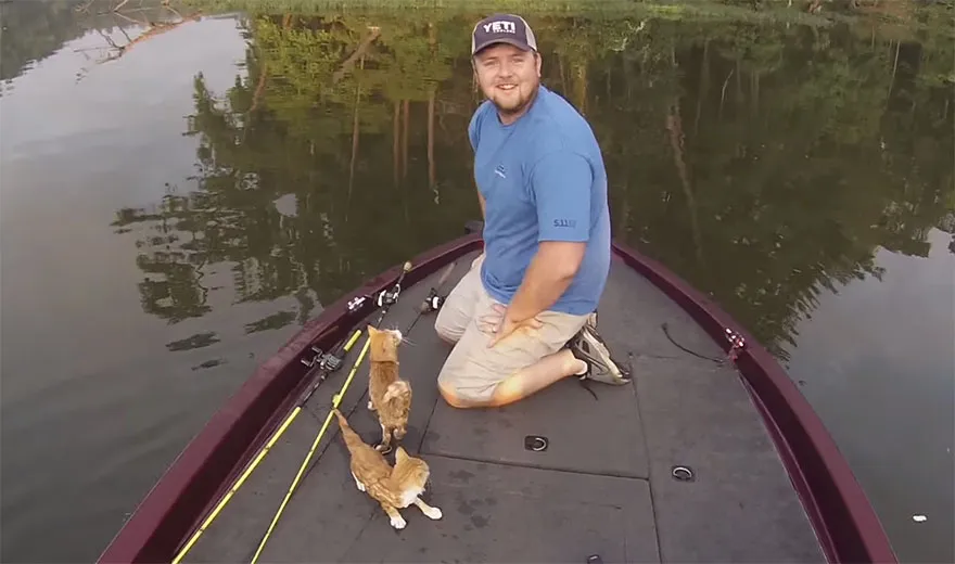 Оба котенка благополучно выбрались из воды.