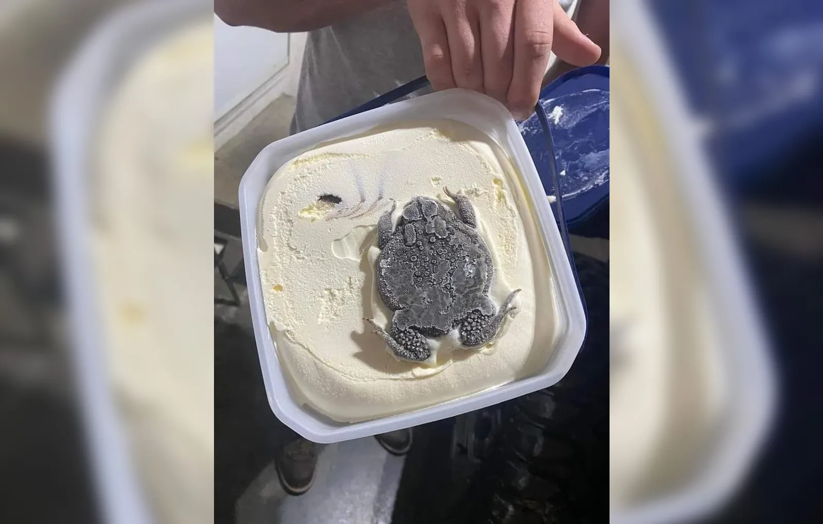 Мороженое с мясцом.