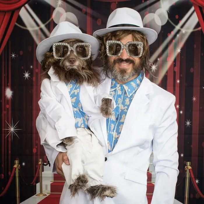 Звезды сцены.