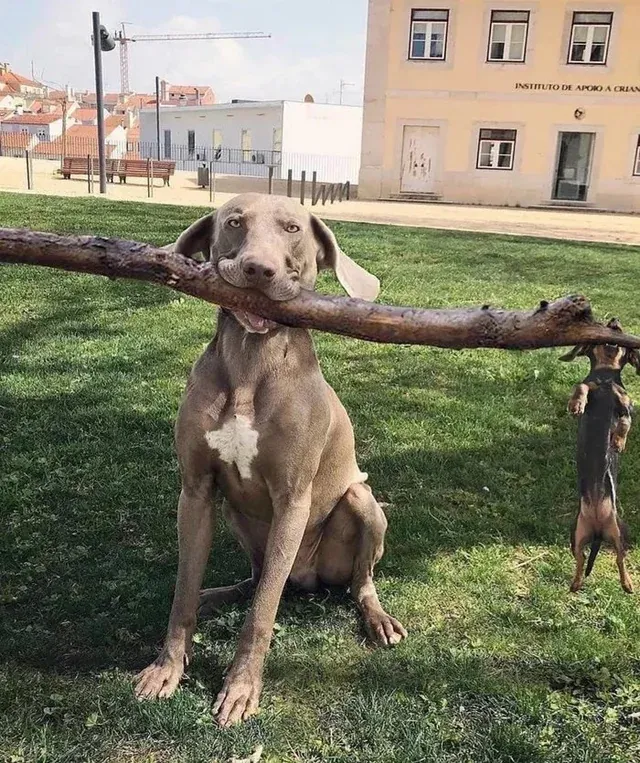 «Помощник управляющего филиалом».