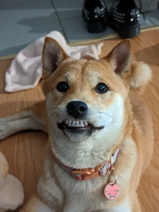 «Она не перестанет пялиться на меня вот так».