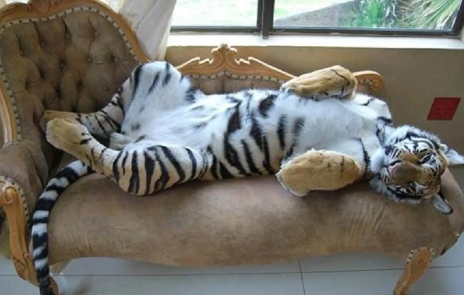 Занял место хозяина.