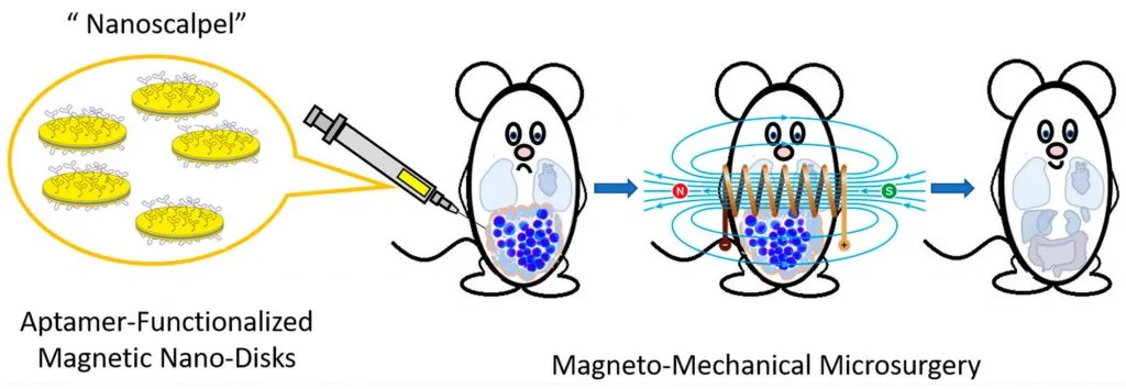 Принцип работы наноскальпеля, протестированный на мышах.