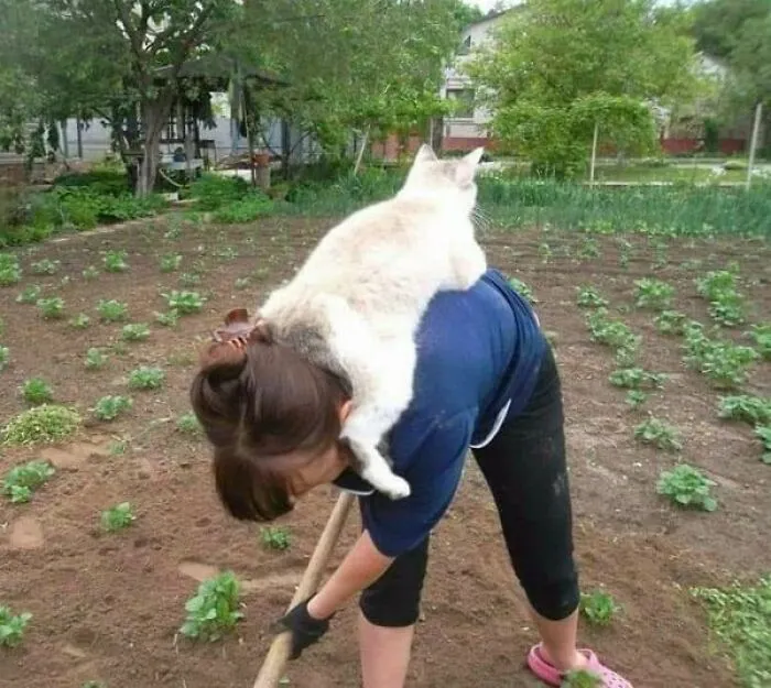 Работник месяца.