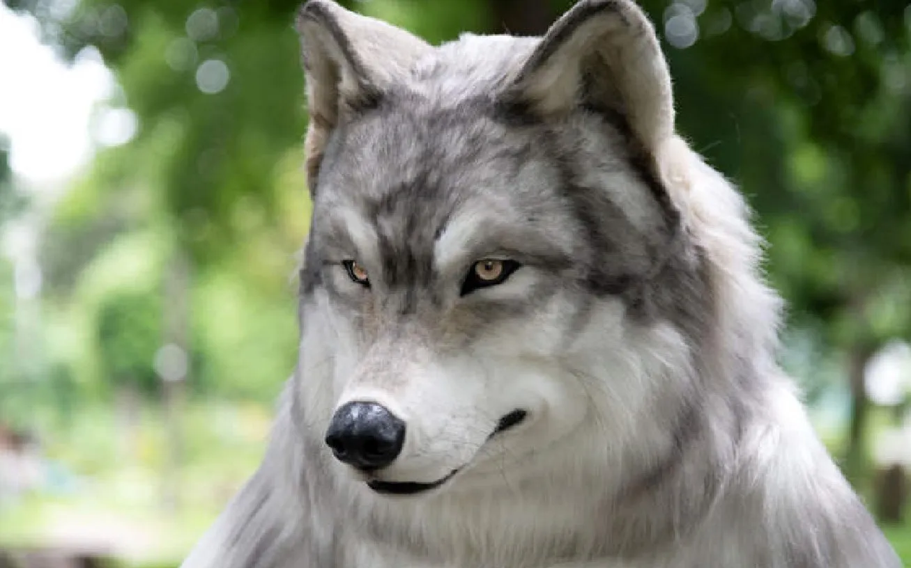 Японец в костюме волка.