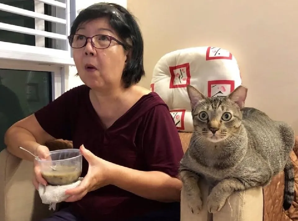 «Моя мама и ее кот вместе смотрят телевизор».