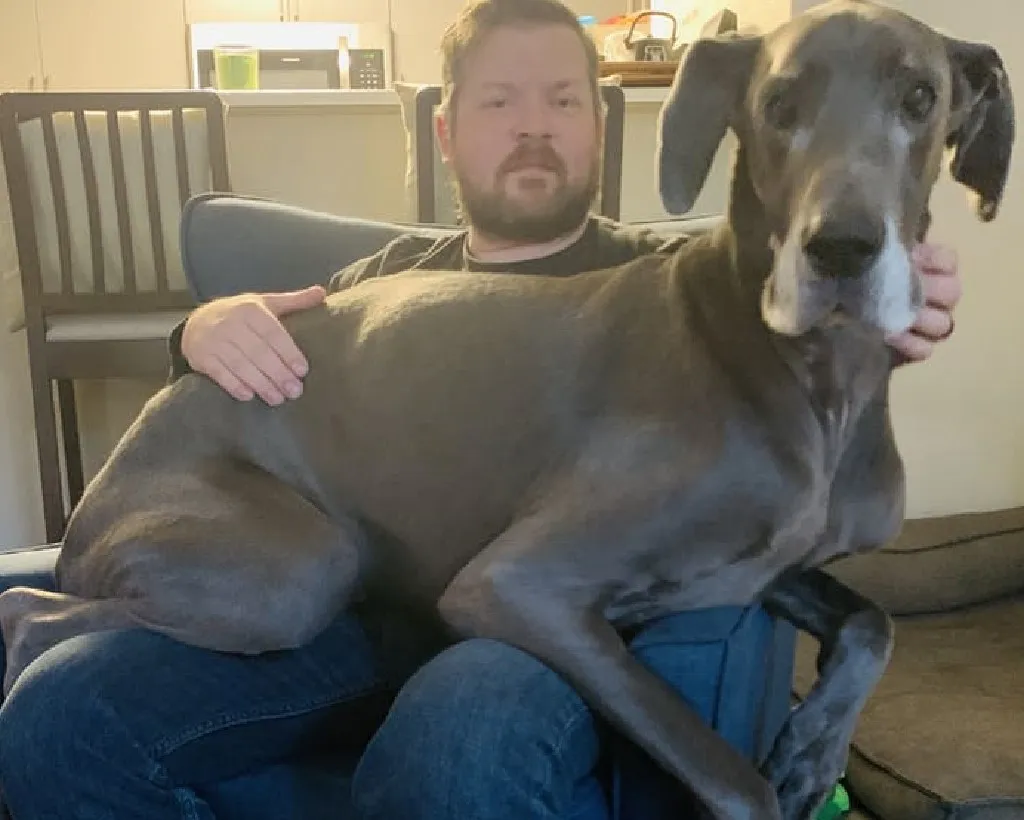 «Он все еще считает себя маленьким».