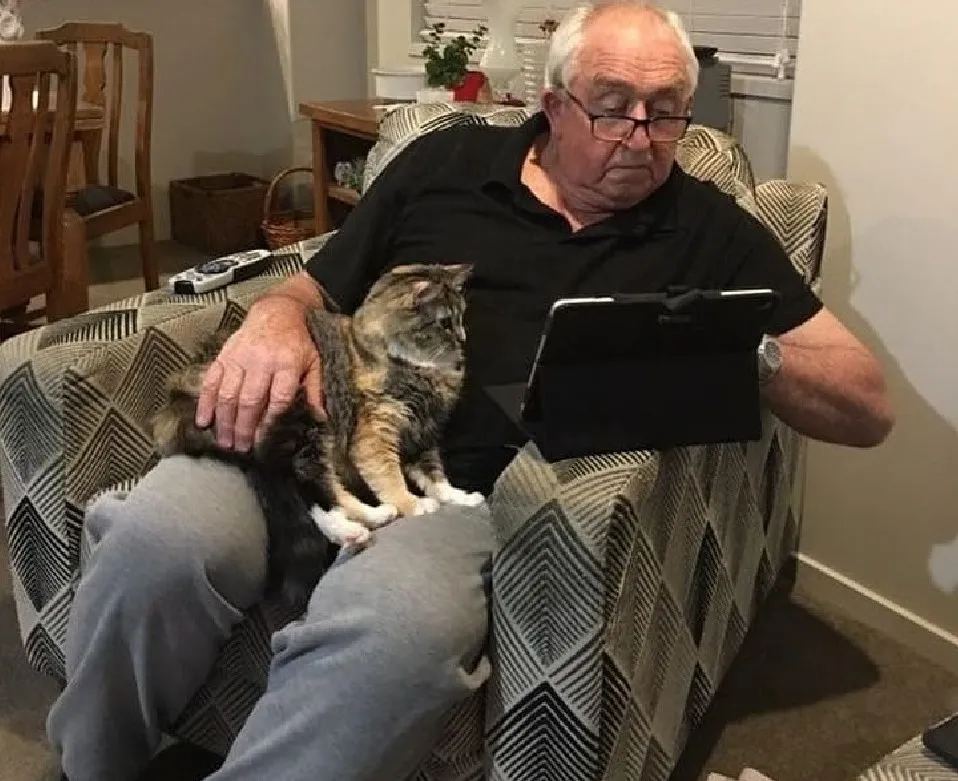 «Мой дедушка и его кот смотрят регби».