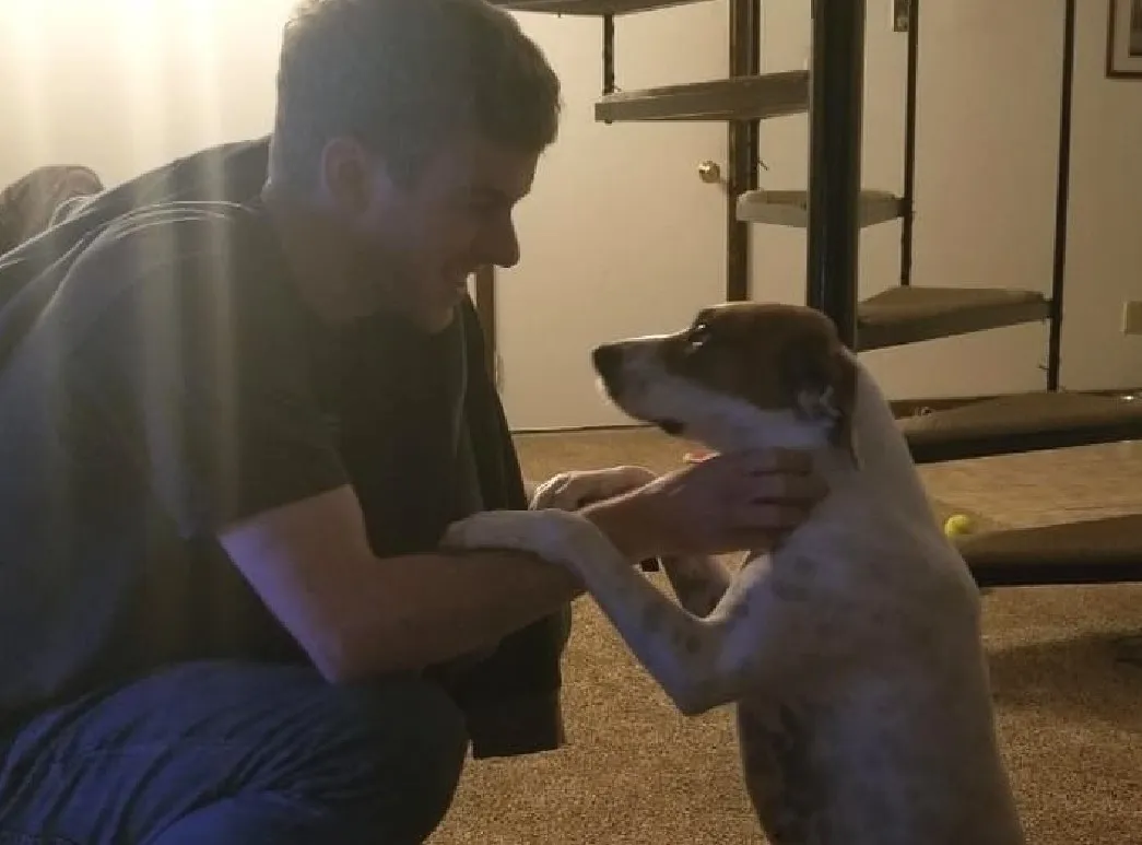 «Недавно мой брат взял из приюта свою первую собаку».