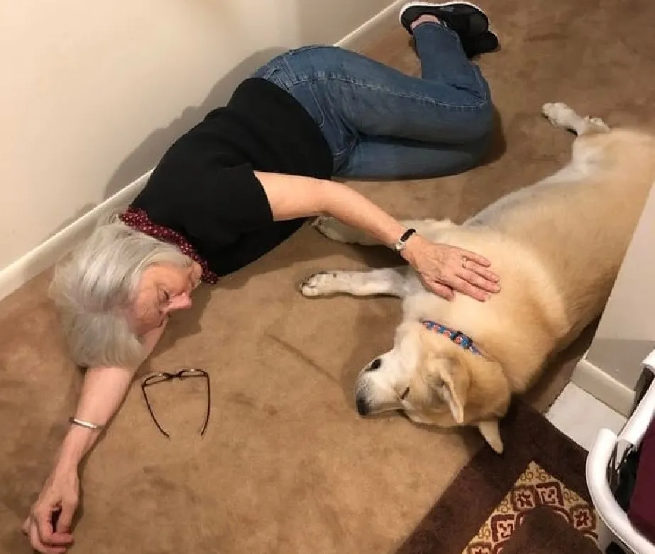 «Вчера мы познакомили бабушку с нашим новым псом».