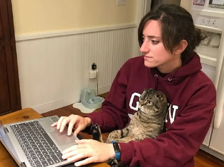 «Моя сестра всегда работает с котом».