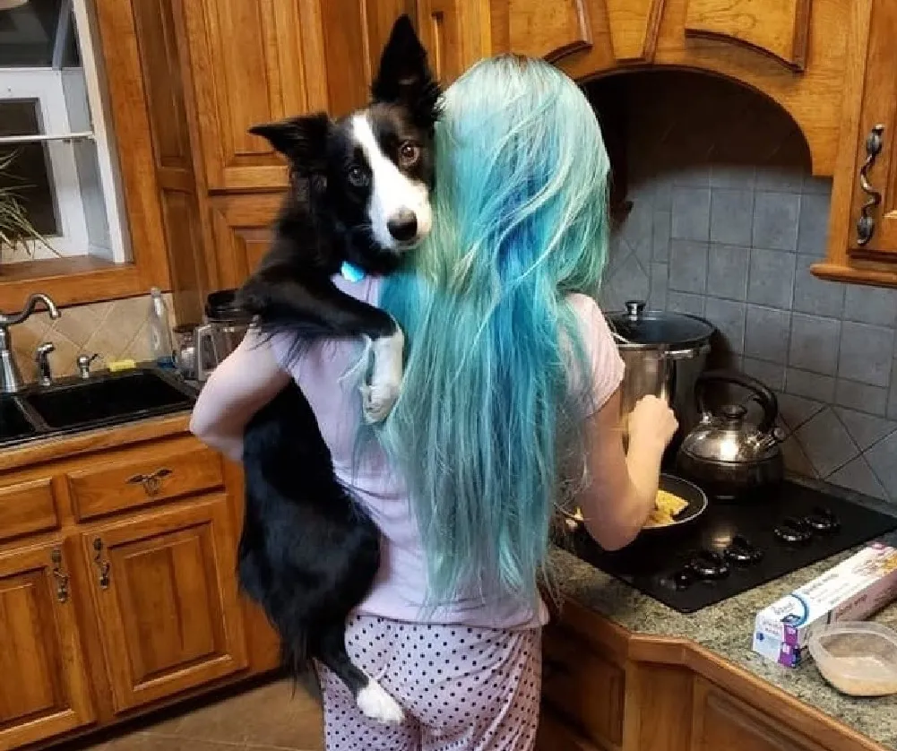 «Моя собака обожает сидеть на руках».