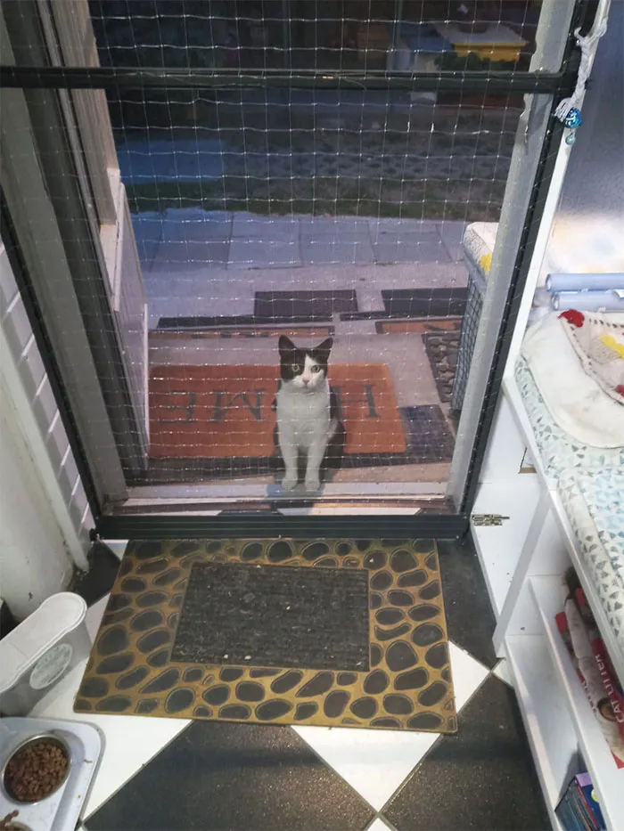 «Ко мне пришел неожиданный гость, и я не знаю, чего он хочет».