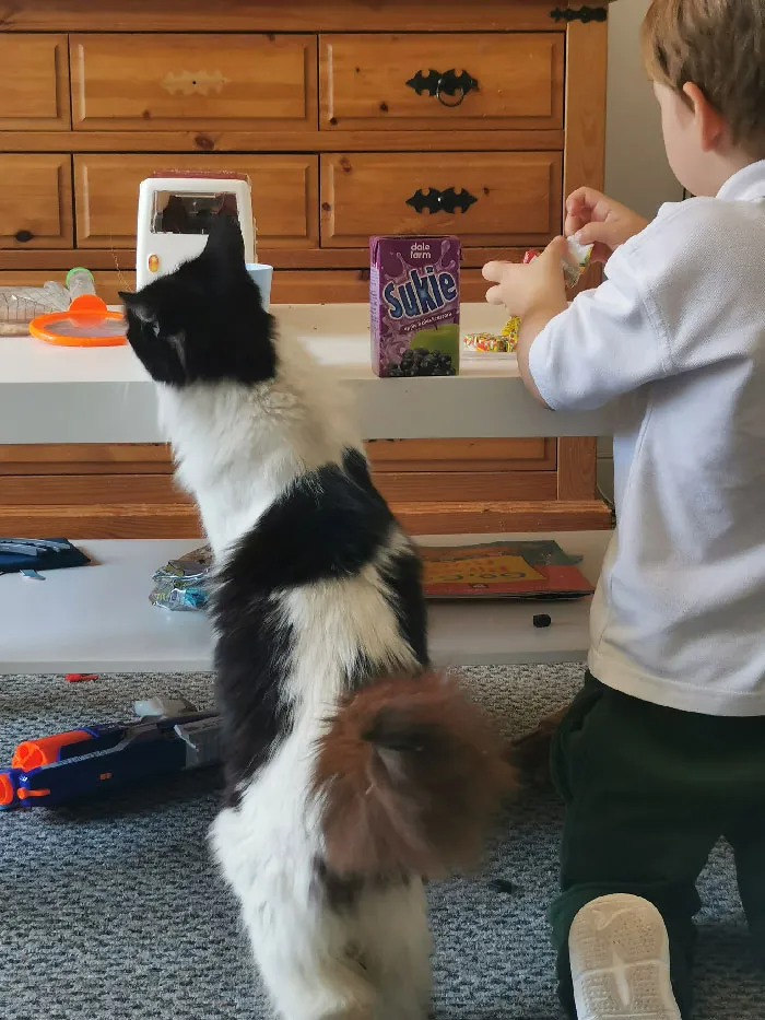 «Зашла в комнату, а сын играет с новым приятелем».