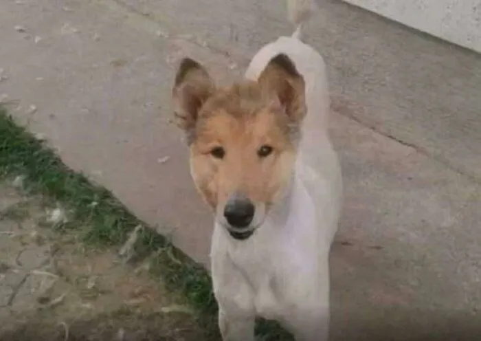 Ричард Гав.