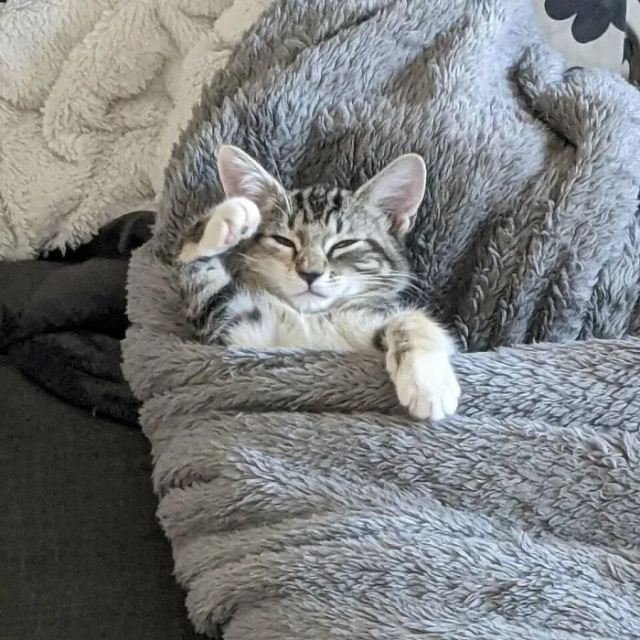 «Время сна».