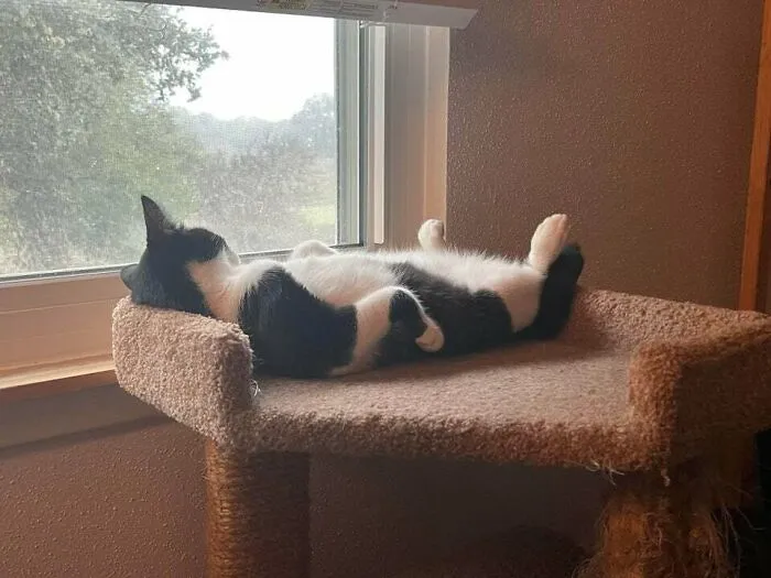 «Локи спит».