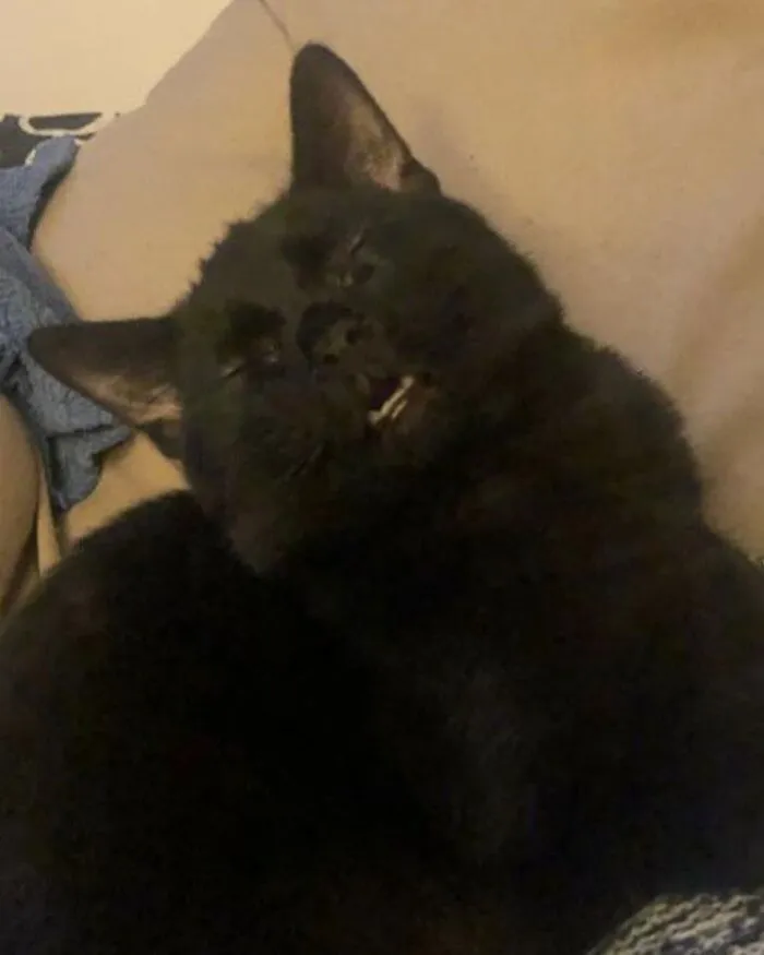 «Он сидел так пять минут». 