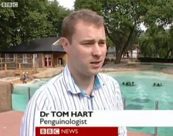 Пингвинолог.