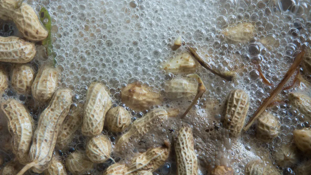 привело к получению гипоаллергенного арахиса, который успешно вызвал повышенную чувствительность у 80 процентов исследованных детей. 