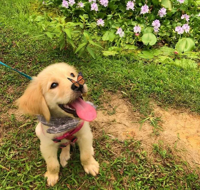«Все станет лучше!»