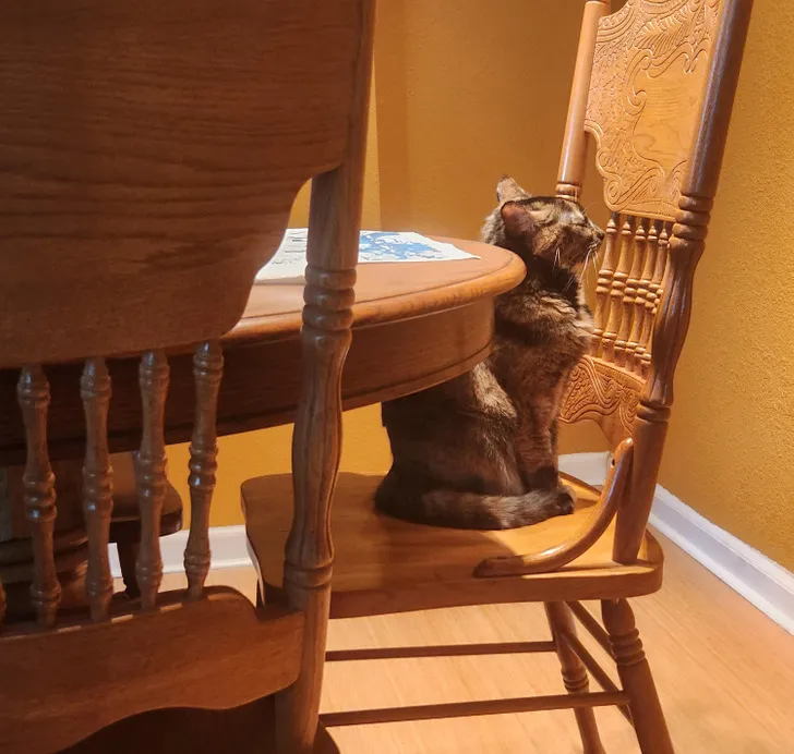 «Я думаю, что она заснула, она была в таком состоянии почти 30 минут»