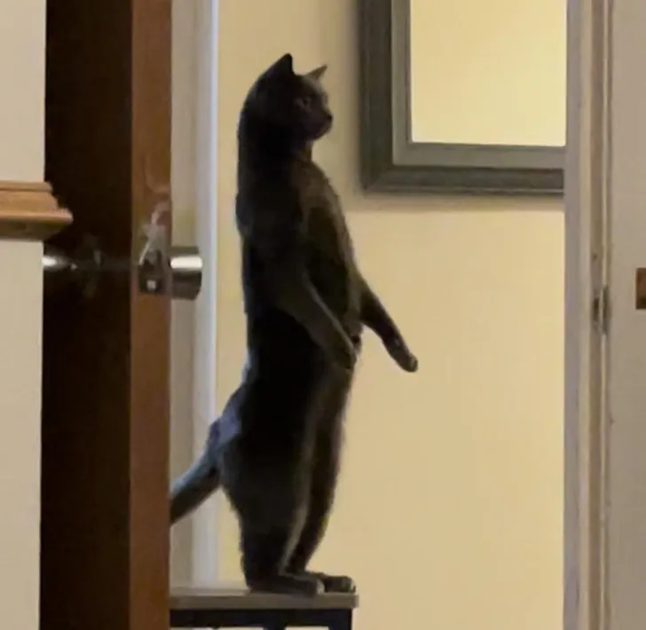 «Он стоит так, когда думает, что мы не смотрим».