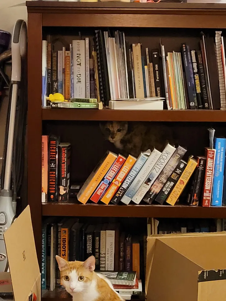 «Она выбирает самые интересные места».