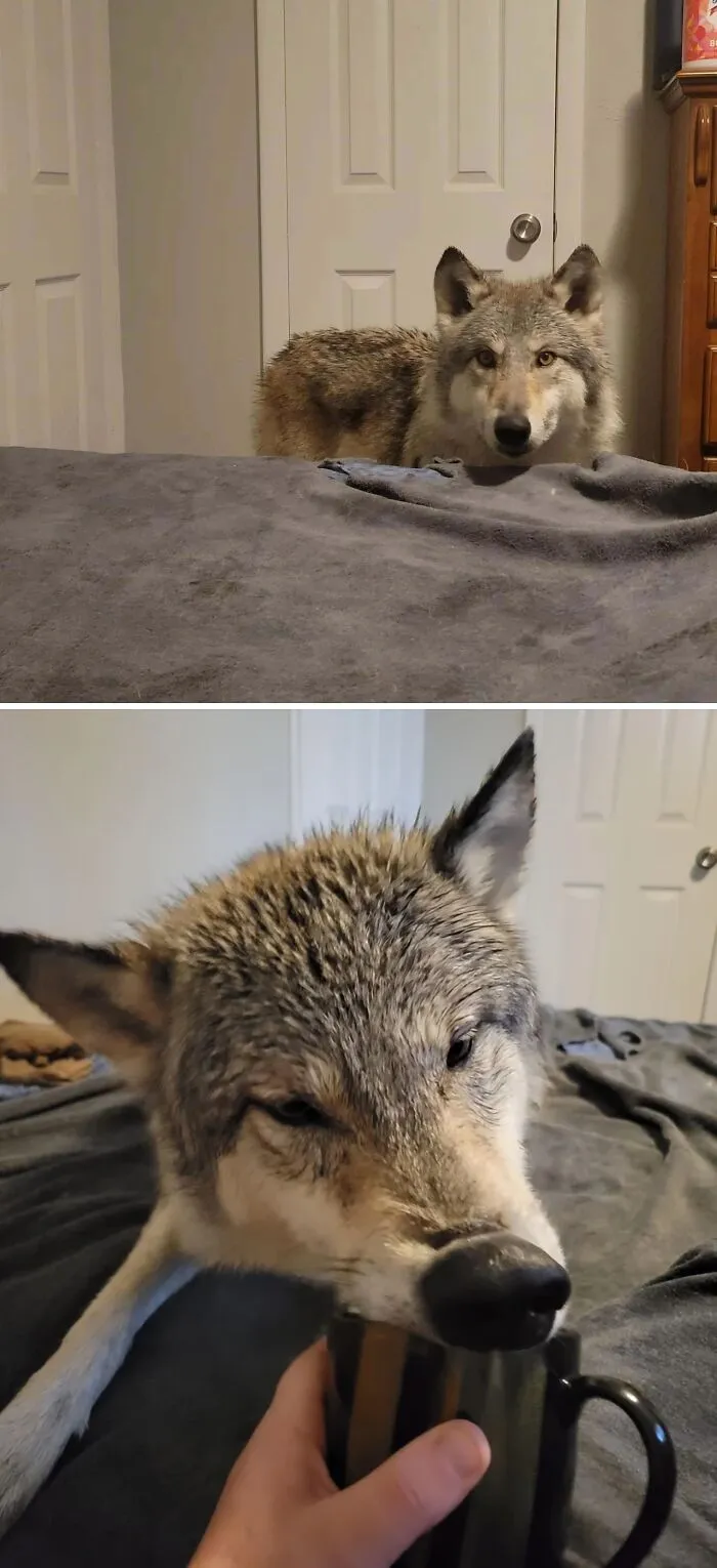 «Мам, пусти на кровать».