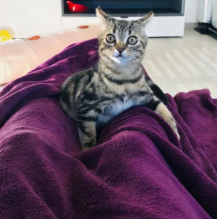 «Он услышал, как я чихнул в первый раз».