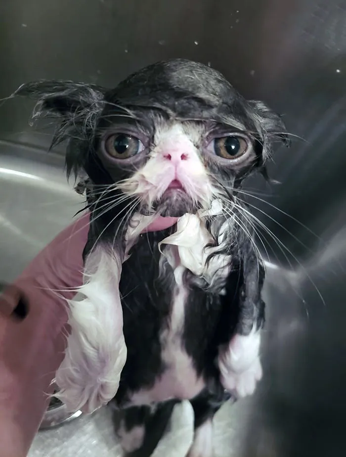 «Первые купашки».