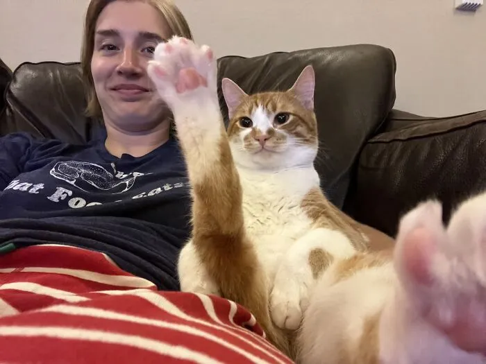 «Это Кевин, и он обожает смотреть телевизор».