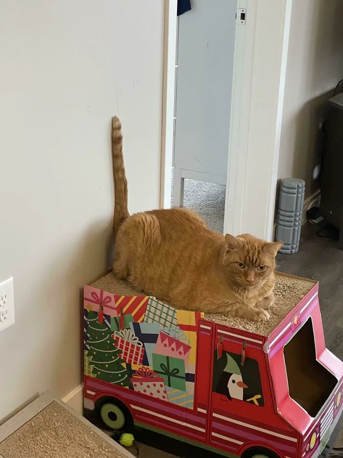 Поднял антенну для принятия сигналов из космоса.