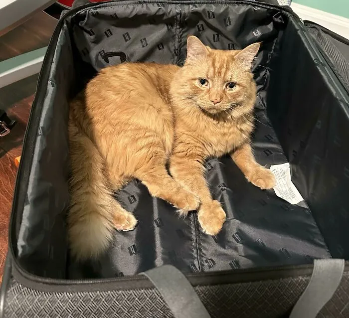 «Это происходит каждый раз, когда я куда-то собираюсь».