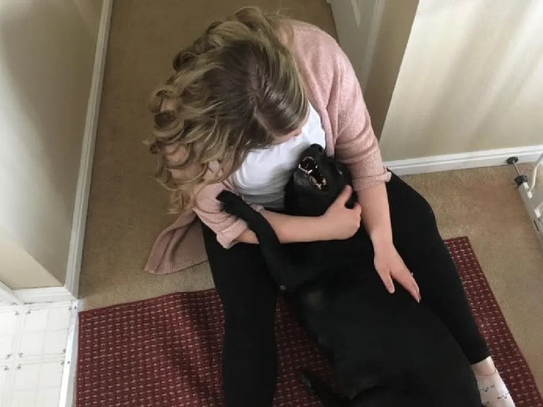 «Кажется, мой пес любит мою жену больше, чем меня».