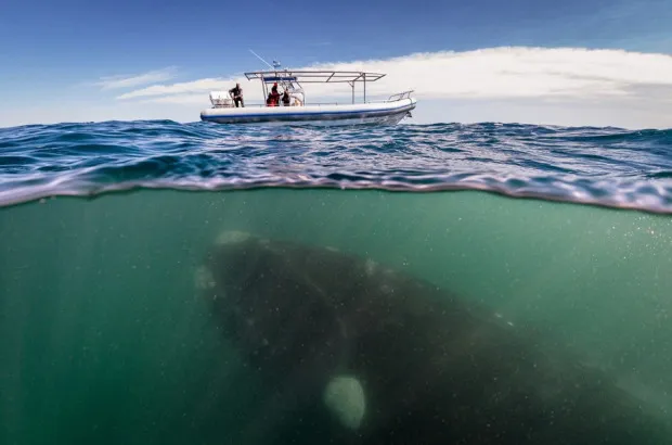 Так близко.