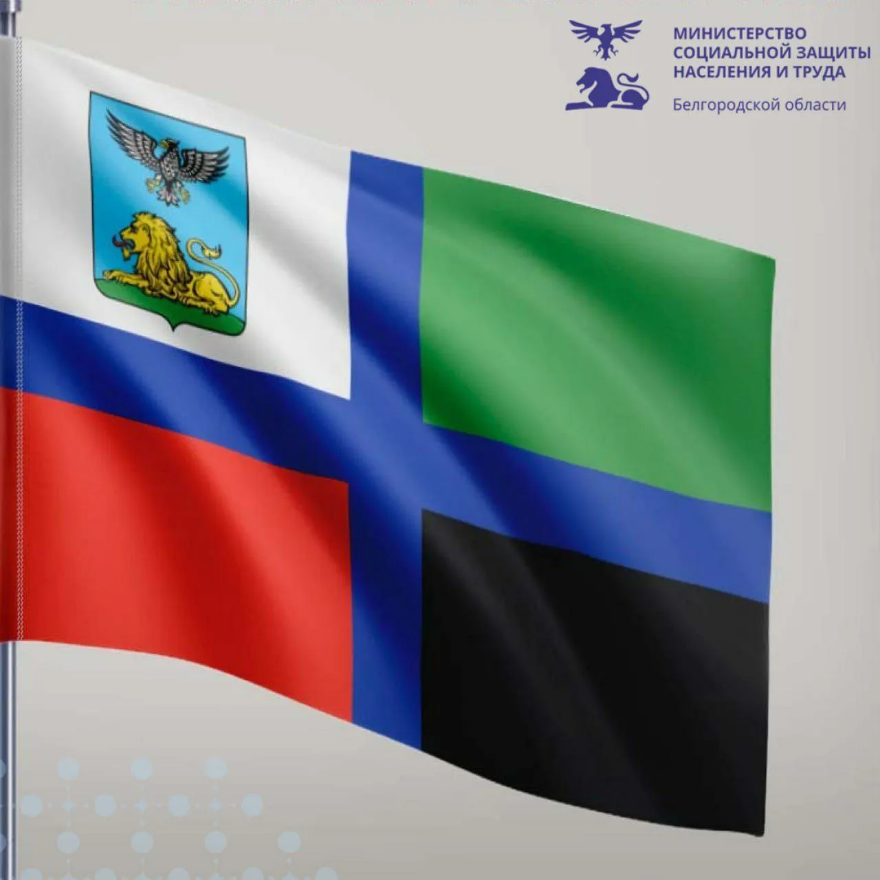 Флаг области социальной защиты. 