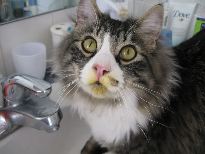 «Кто-то опять копался в моих цветах».