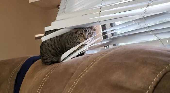 «Логан — главный нарушитель спокойствия в нашем доме».