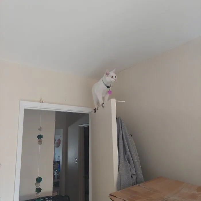 «Ей всегда нужно быть выше всех».