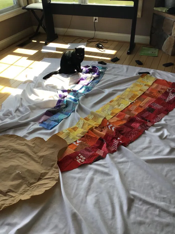 «Она повалялась на моей работе и была очень этим довольна».