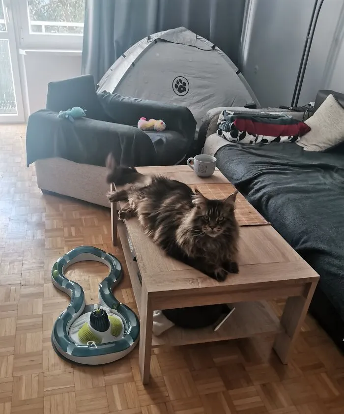 «Кожаный, тебя что-то не устраивает?»