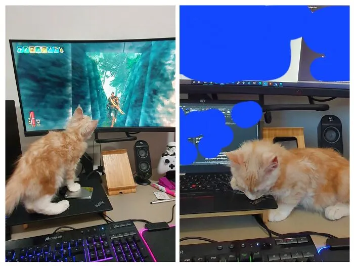 «Слово „нельзя“ для него не существует».