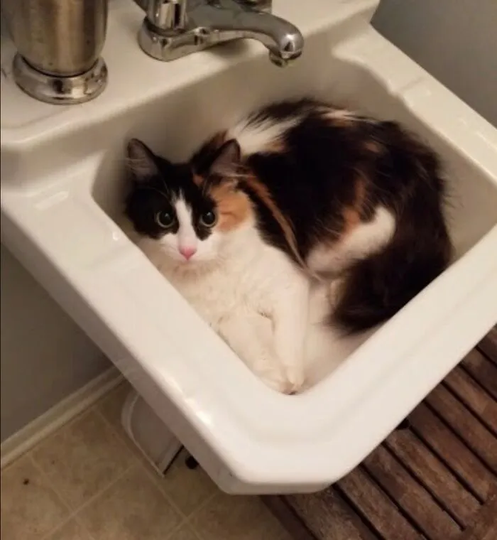 «Я была здесь первой».