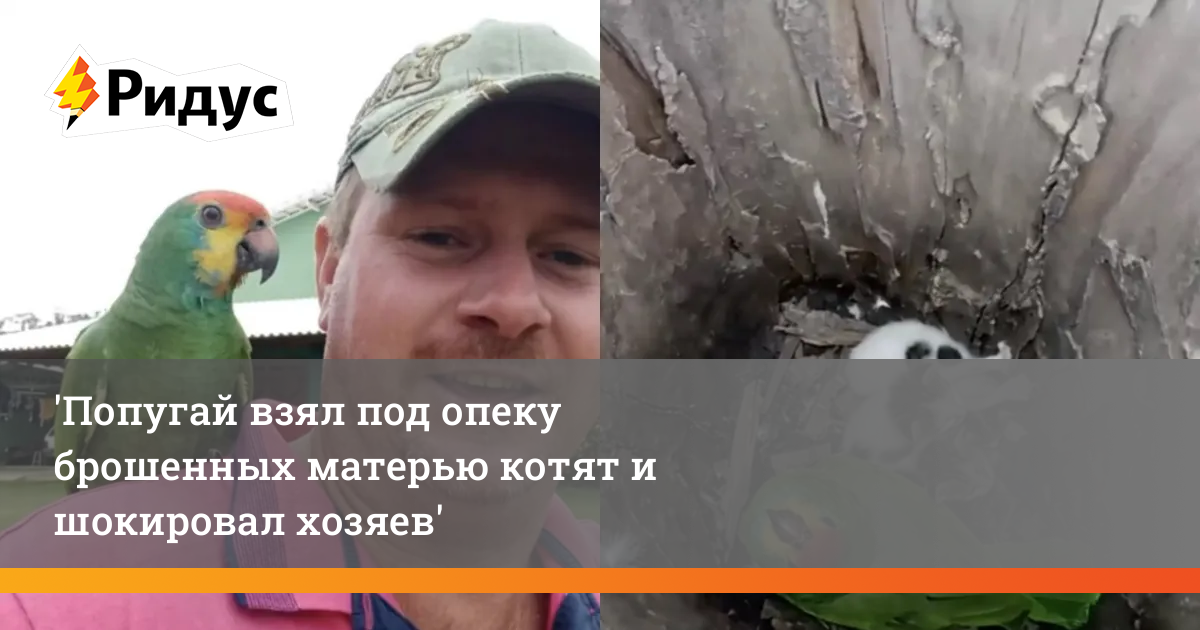 Поиск авто по хозяину Поиск авто по хозяину